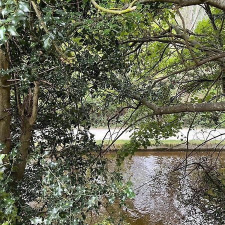 Dee Lodge With Private Hot Tub Llangollen Exterior foto